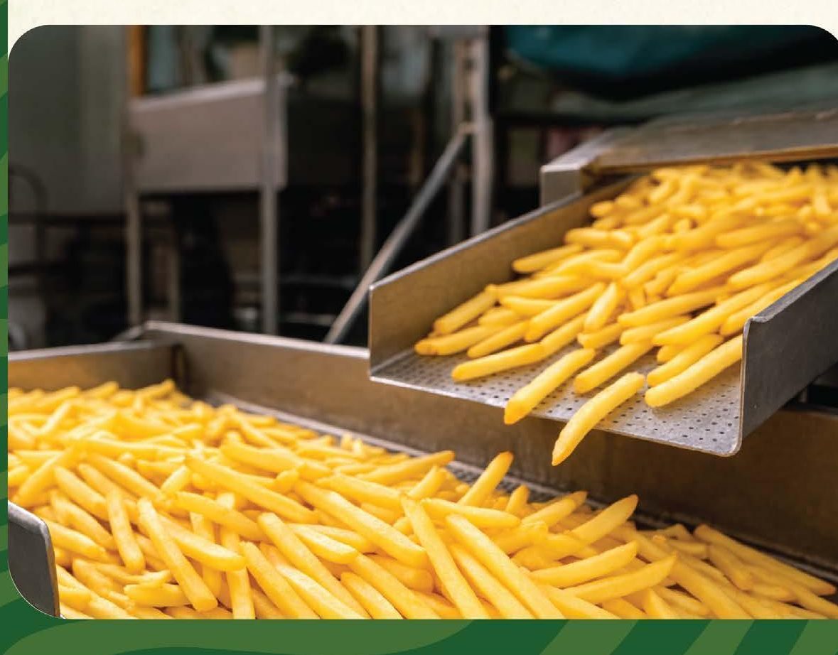 Automated French fries processing line at the Farmton facility